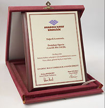 anadolu sigorta - denizhan sigorta yalova