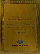 anadolu sigorta - denizhan sigorta yalova