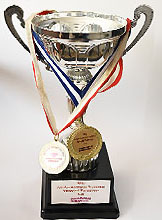 anadolu sigorta - denizhan sigorta yalova