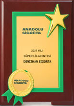 anadolu sigorta - denizhan sigorta yalova