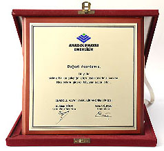 anadolu sigorta - denizhan sigorta yalova