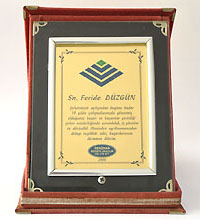 anadolu sigorta - denizhan sigorta yalova