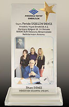 anadolu sigorta - denizhan sigorta yalova