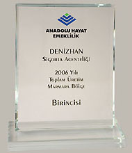 anadolu sigorta - denizhan sigorta yalova