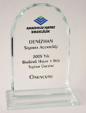 anadolu sigorta - denizhan sigorta yalova