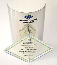 anadolu sigorta - denizhan sigorta yalova