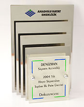 anadolu sigorta - denizhan sigorta yalova