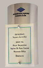 anadolu sigorta - denizhan sigorta yalova