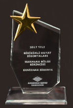 anadolu sigorta - denizhan sigorta yalova